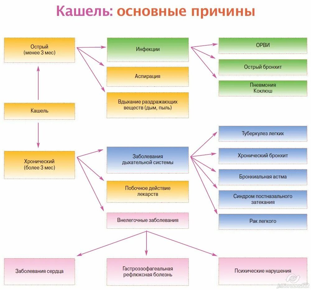 Почему может быть кашель. Классификация кашля схема. Причины кашля. Кашель причины возникновения. Виды кашля у взрослых.