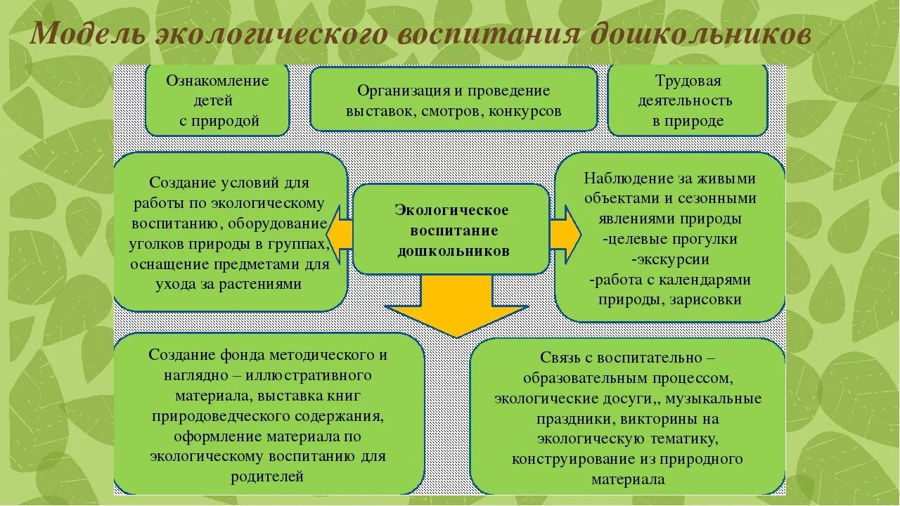 Образовательная область истории. Экологическое воспитание дошкольников. Экологические вопитание. Экологическое образование дошкольников. Воспитание экологической культуры у детей дошкольного возраста.