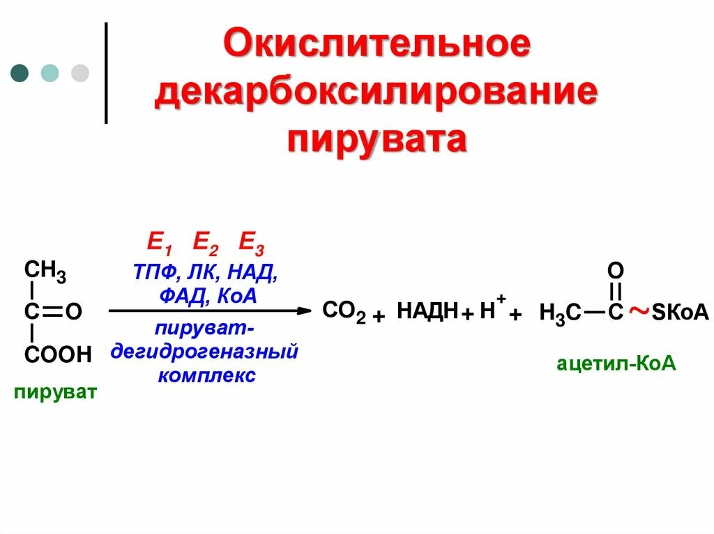 Окислительное декарбоксилирование реакции. Схема реакции окислительного декарбоксилирования пирувата. Пируват окислительное декарбоксилирование. Суммарное уравнение декарбоксилирования пирувата. Окислительное декарбоксилирование ПВК реакции.