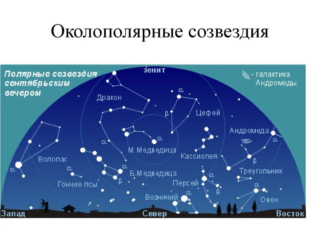 Созвездия. Созвездия на небе. Околополярные созвездия. Схемы созвездий и их названия. Самую северную звезду северного полушария