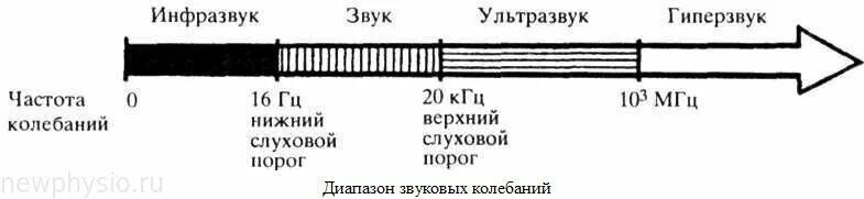 Инфразвук в гц. Диапазон звук ультразвук инфразвук. Инфразвук ультразвук шкала. Инфразвуковой диапазон акустических колебаний. Диапазон частот звука ультразвука и инфразвука.