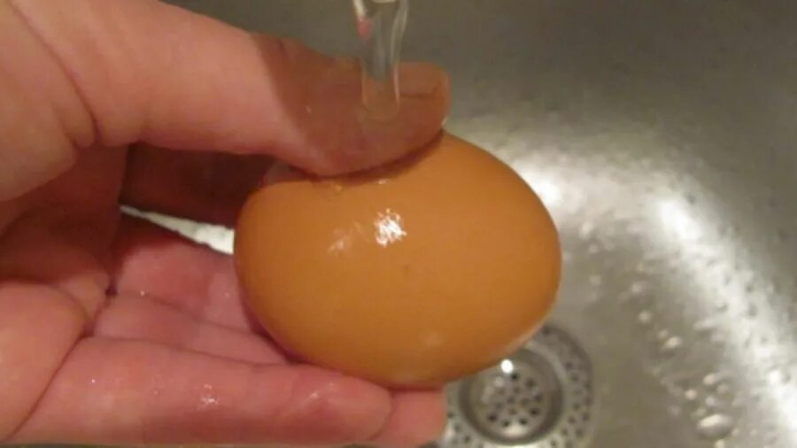 Мытье яиц. Помыть куриные яйца. Яйца куриные мытые. Промывка яиц. Можно ли мыть домашние яйца перед хранением