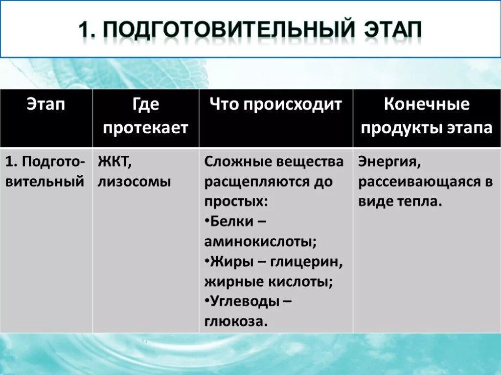 Подготовительный этап белки. Подготовительный этап что происходит. Результат подготовительного этапа. Биология паратовительный Этан. Подготовительный этап биология.