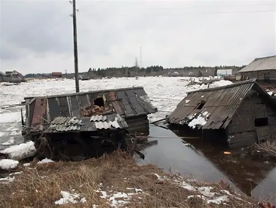 Поселок светлый архангельская область. Паленьга холмогорский район. посёлок белогорский архангельская область. архангельская область холмогорский район посёлок белогорский. посёлок светлый архангельская область холмогорский район.
