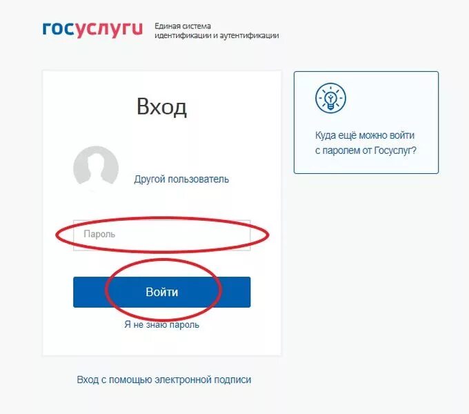 Госуслуги. Пароль на госуслуги. Аутентификация на портале госуслуг. Оформить через госуслуги статус многодетной