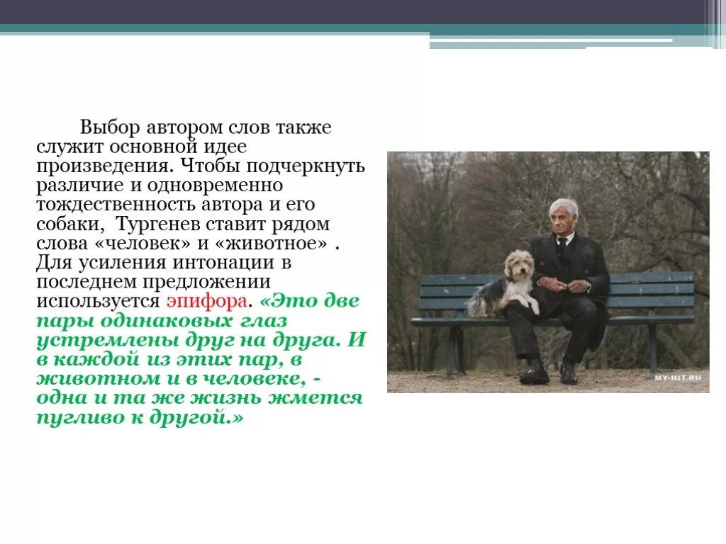 Я стоял около дома тургенева основная мысль. Проза Тургенева собака. Основная мысль стихотворения собака. Стихотворение собака Тургенев.