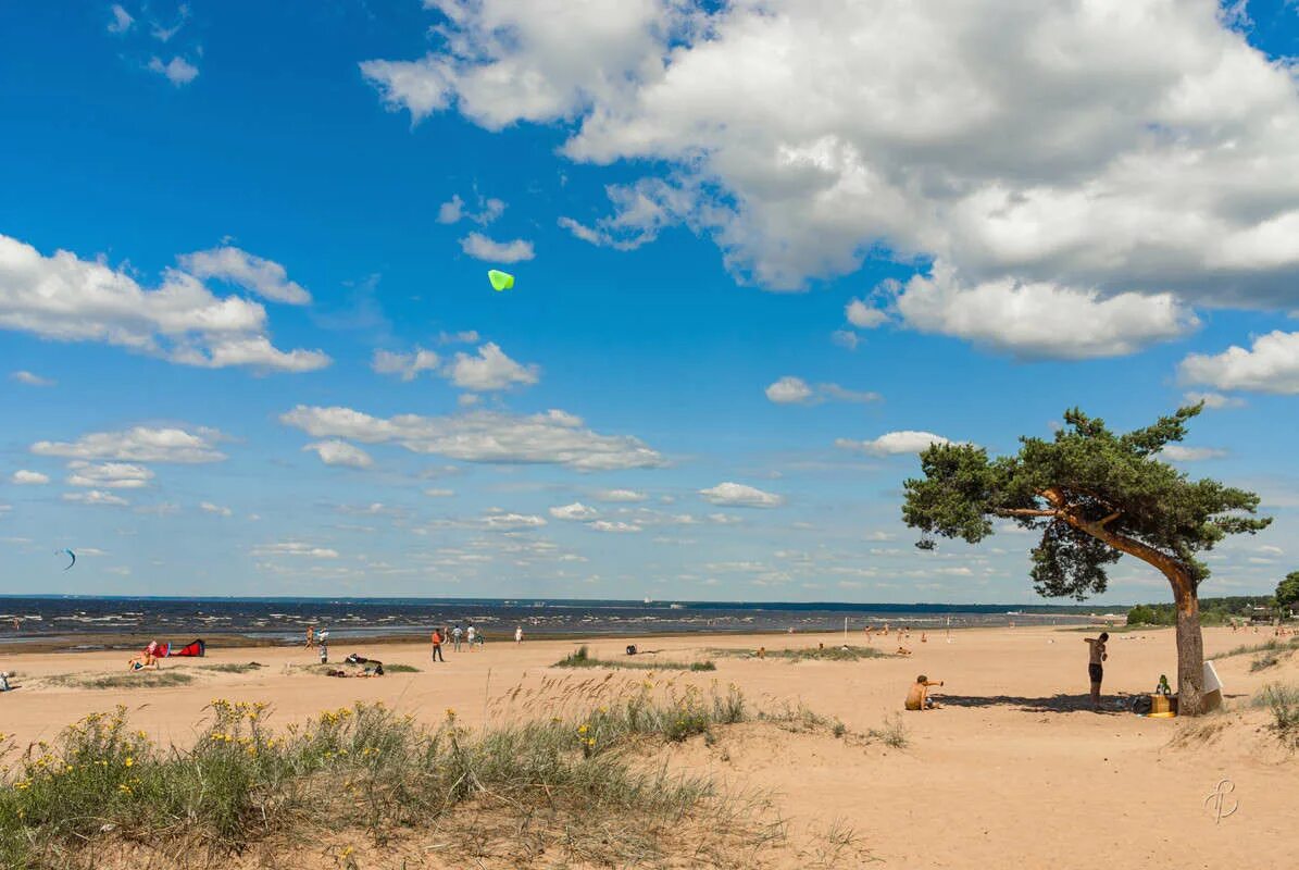 парк отель солнечный солнечногорск. ласковый пляж санкт-петербург. пляж солнечный сестрорецк. поселок солнечное отдых.