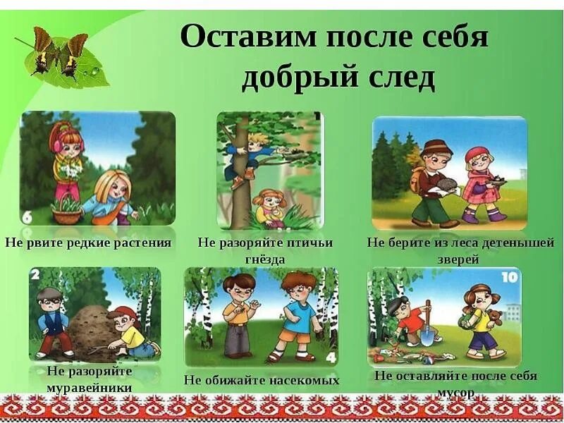 Безопасность ребенка на природе. Правила поведения в лесу для детей. Правлаповедеявприроде. Поведение в лесу для дошкольников. Д/И правила поведения в лесу.