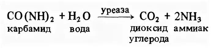 Мочевина и уреаза реакция. Мочевина уреаза. Гидролиз мочевины под действием уреазы. Реакция расщепления. Реакция катализируемая уреазой.