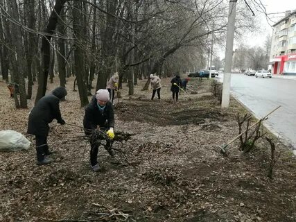 Проходит организованно