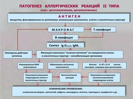 Аллергические реакции и инфекция