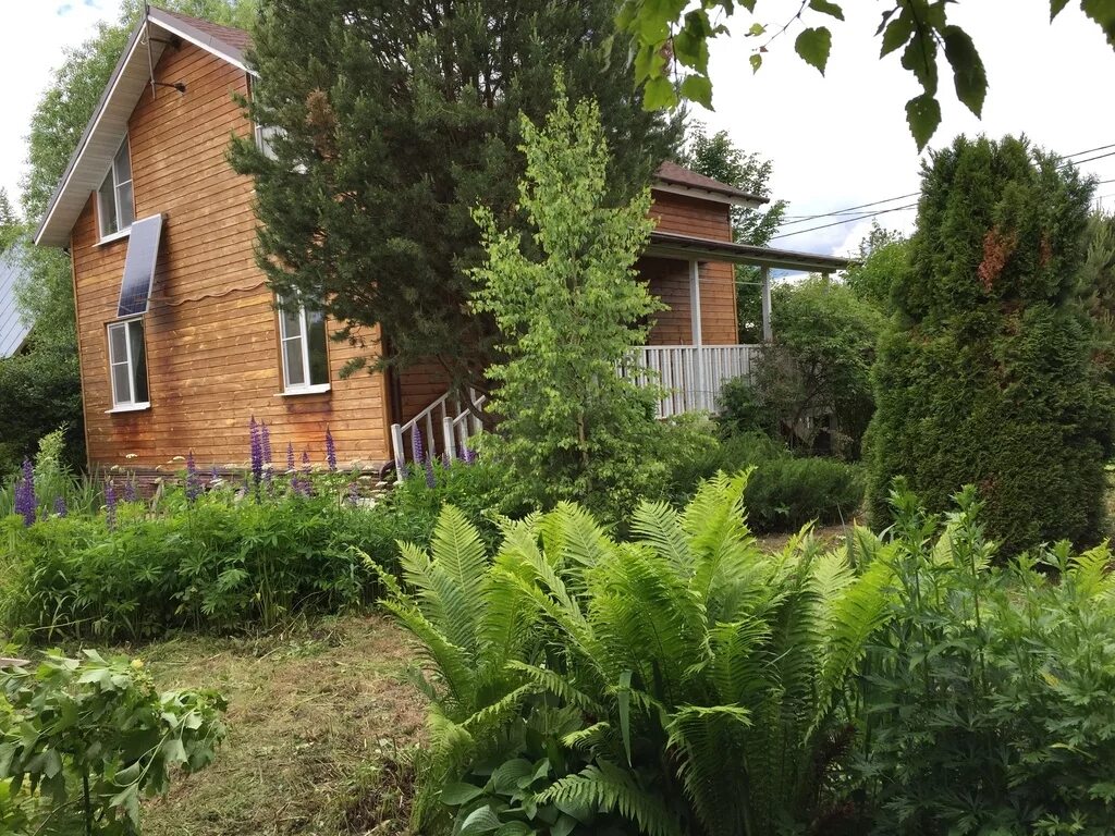 Поварово Солнечногорский район. СНТ Березки Поварово. Поварово Солнечногорский район дачи. Берёзки дачные Солнечногорский район. Циан ленинградская область недвижимость купить