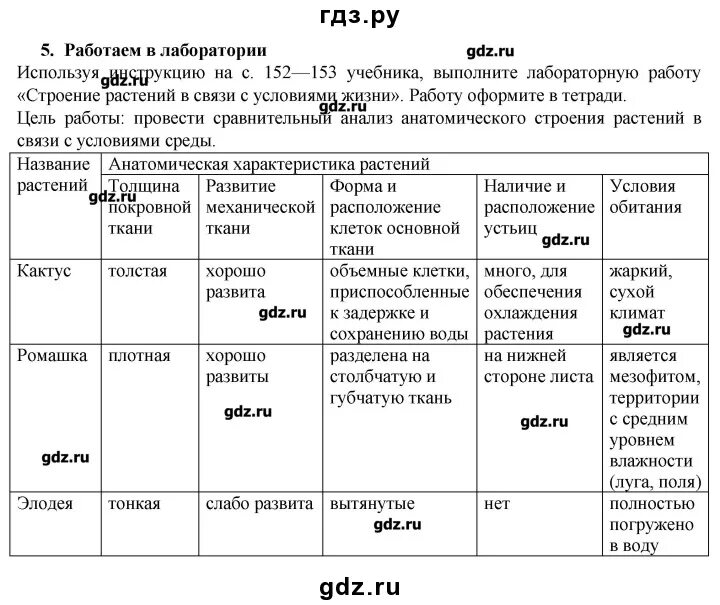 Практическая работа 9 класс меню биология. Анатомическая характеристика растений таблица 9. Таблицы по биологии 9 класс Пасечник. Анатомическая характеристика растений таблица 9 класс биология. Анатомическая характеристика растений.