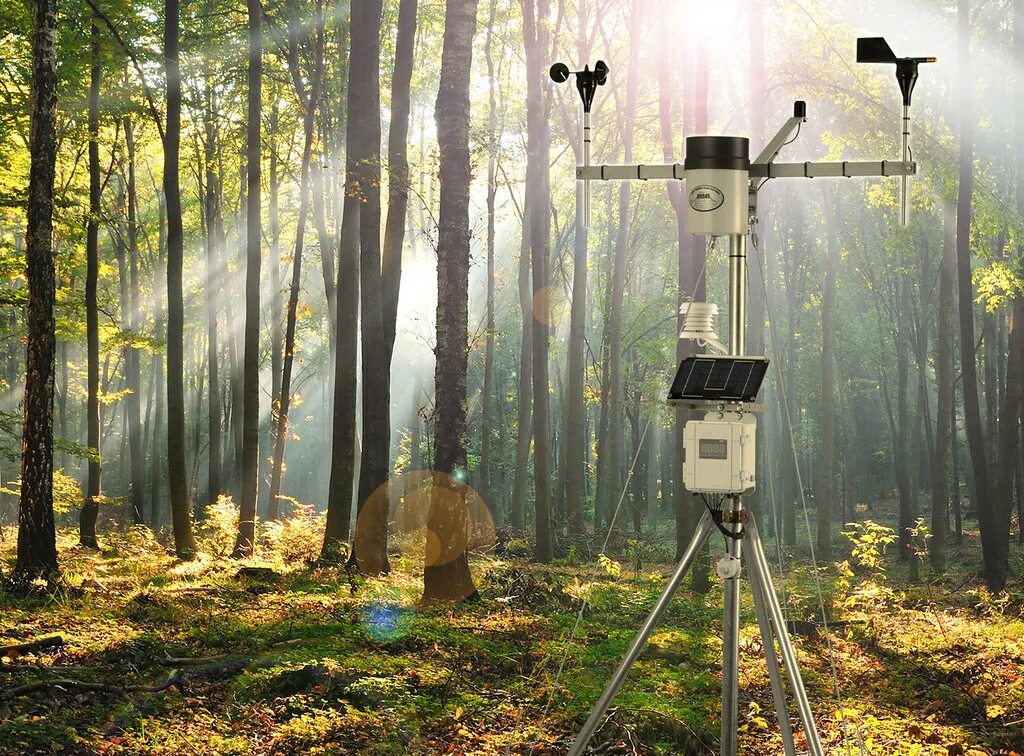 Какие приборы нужны для наблюдения. Лесная метеостанция. Метеостанция в лесу. Лесные метеорологические станции. Метеорологическая станция в лесу.