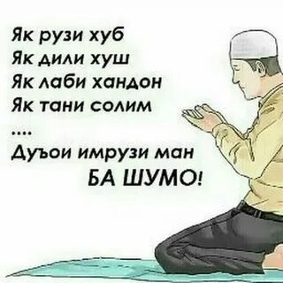 Хоби хуш картинки