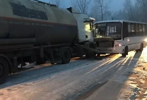 Автобус вологда грибково