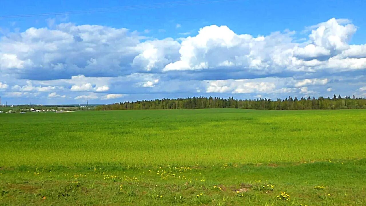 Луг в деревне. Земельный участок в поле. Поля Луга. Земельный участок природа. Зеленый луг алтайский край