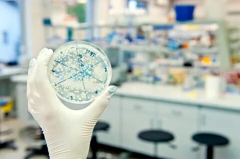 Hand lab