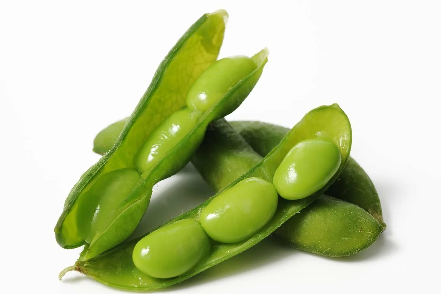 Bean