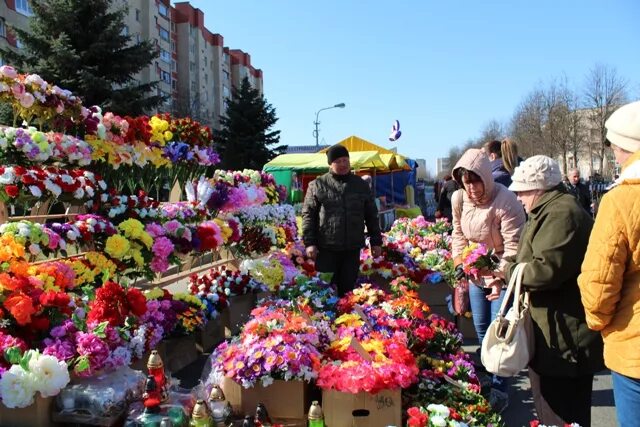 новая жизнь жодино