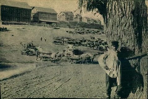 Ровное история