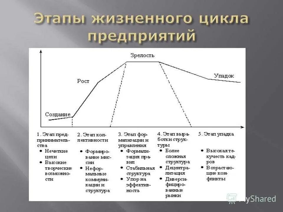 Определите особенности жизненного цикла. Характеристика этапов жизненного цикла организации. Последовательность этапов жизненного цикла организации. Стадия (фаза) жизненного цикла предприятия. Характеристика этапов жизненного цикла предприятия.