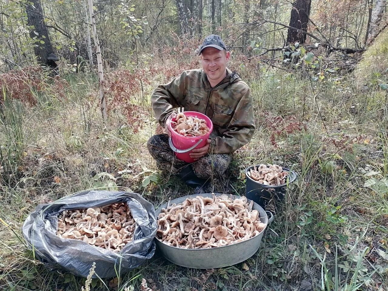 Где в подмосковье собирают. Грибные места. Грибы в Алтайском крае. Собирать грибы. Грибы и грибники Алтайского.