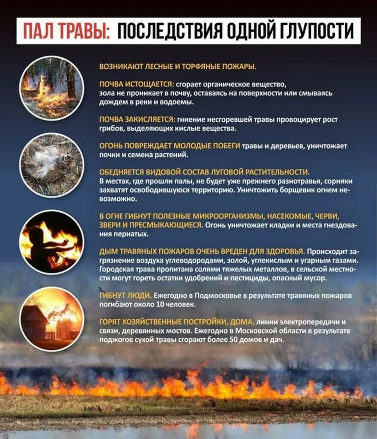 самые полезные палы. сжигание травы. листовки мчс. палы сухой травы. подготовка к пожароопасному периоду.
