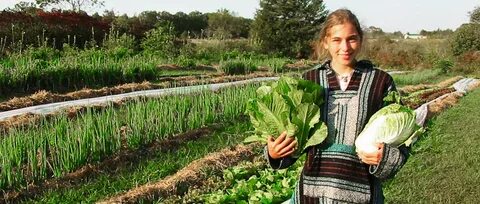 Farm job
