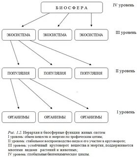 Схема живых организмов