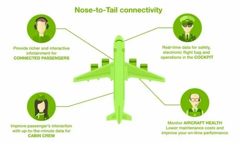 Nose to tail