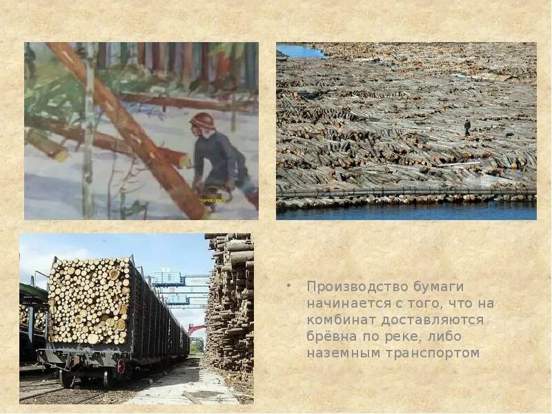 Недостатки изготовления бумаги. Производство бумаги. ресурсы для производства бумаги. бревна для изготовления бумаги. этапы изготовления бумаги.