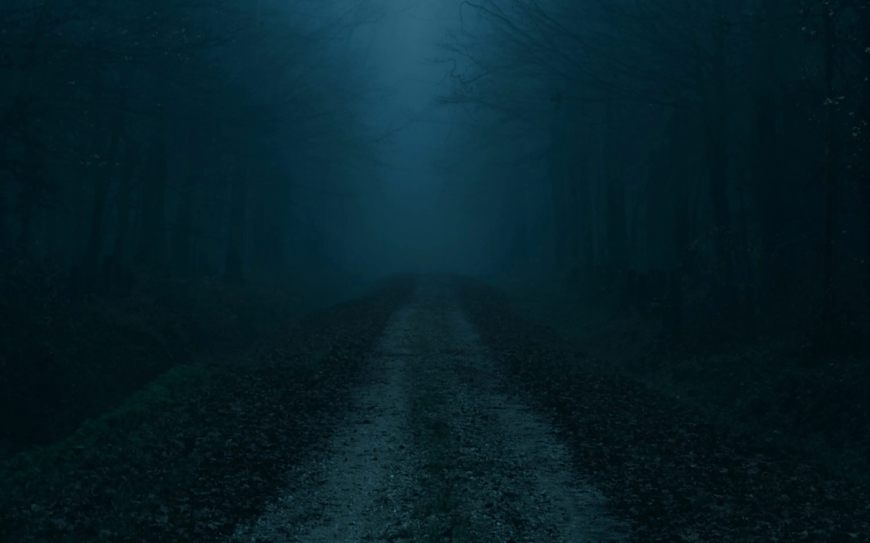 Темно ну. Туман ночью. Темная дорога. Туман на дороге ночью. Мрачная дорога.