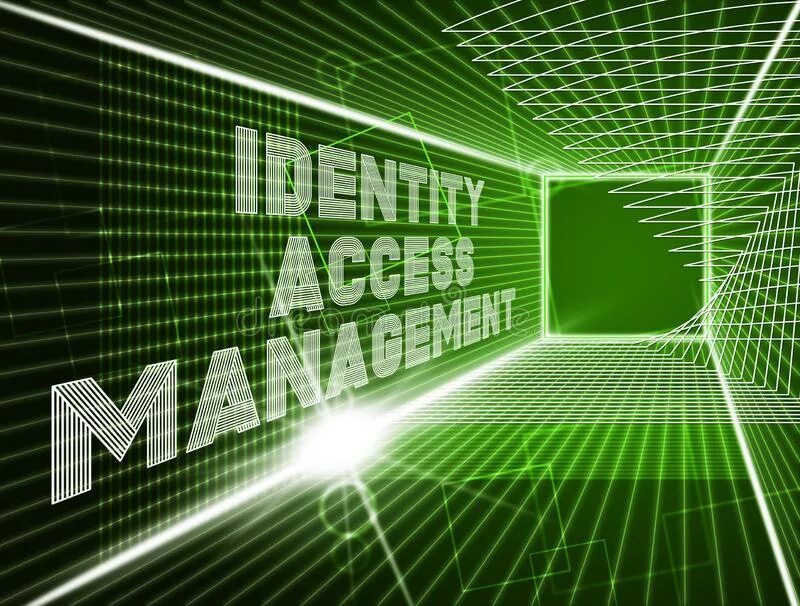Identity and access Management. Ethical Hacker. Гипербезопасность. Cyber Security. Identity access