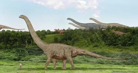 Самое крупное травоядное животное