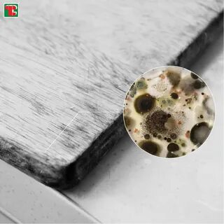 Новости продуктов