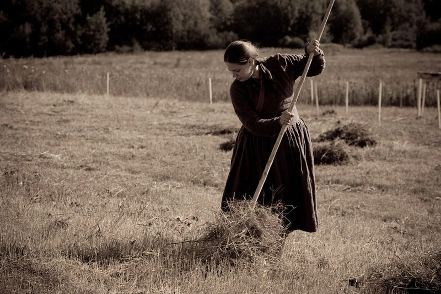 Баба на сенокосе. Женщина на покосе. Сенокос. Женщина на сенокосе. Косить траву в поле.