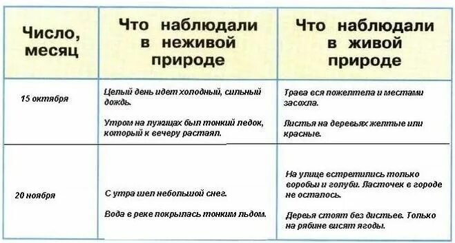 По результатам экскурсии заполните таблицу. Что наблюда в живой природе. Таблица по результатам экскурсии. В гости к осени. Что автор подметил наблюдая за стрижами