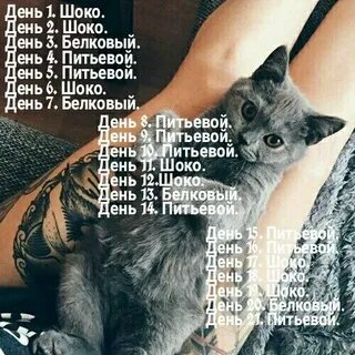 Шоко диета