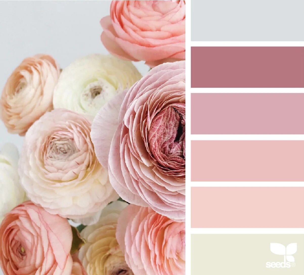 Смик пыльная роза. Цвет пыльная роза смик. Пыльно розовый палитра. Смешать краски для цвета пыльная роза. Дымчатая роза цвет.