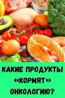 Какие продукты кормят