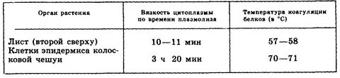 Температура цитоплазмы