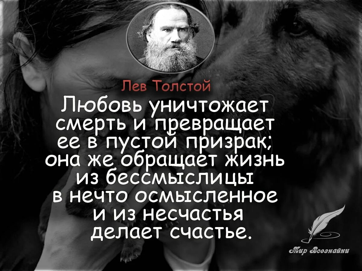 Цитаты про смерть. Цитаты про жизнь и смерть. Высказывания о жизни и смерти. Цитаты про смерть и любовь. Любит и разрушает