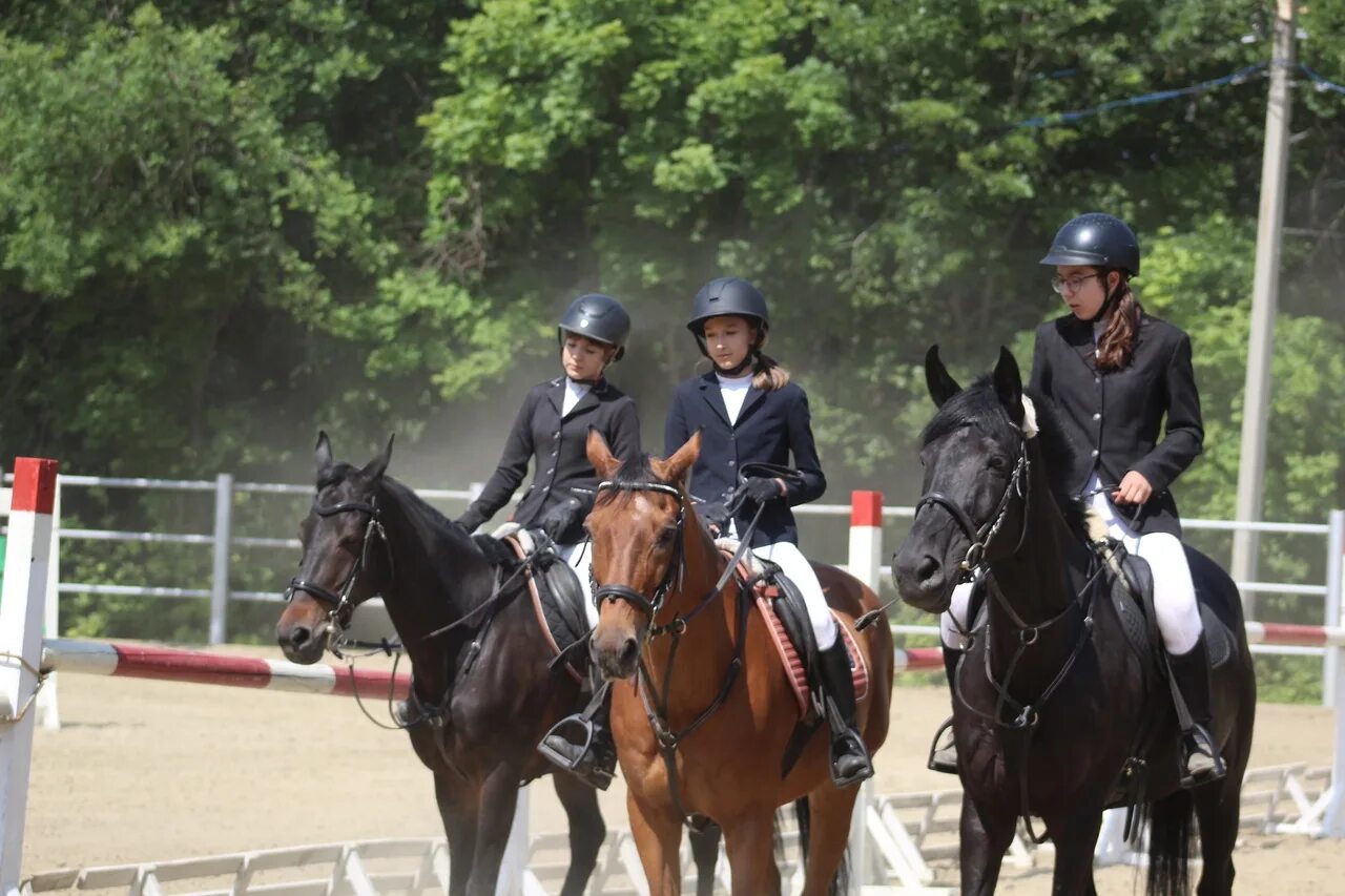 конная школа для детей. лошадки детское конная академия рутения. пони бобби нижний новгород кск пассаж. подросток на лошади. конная школа в москве для детей.