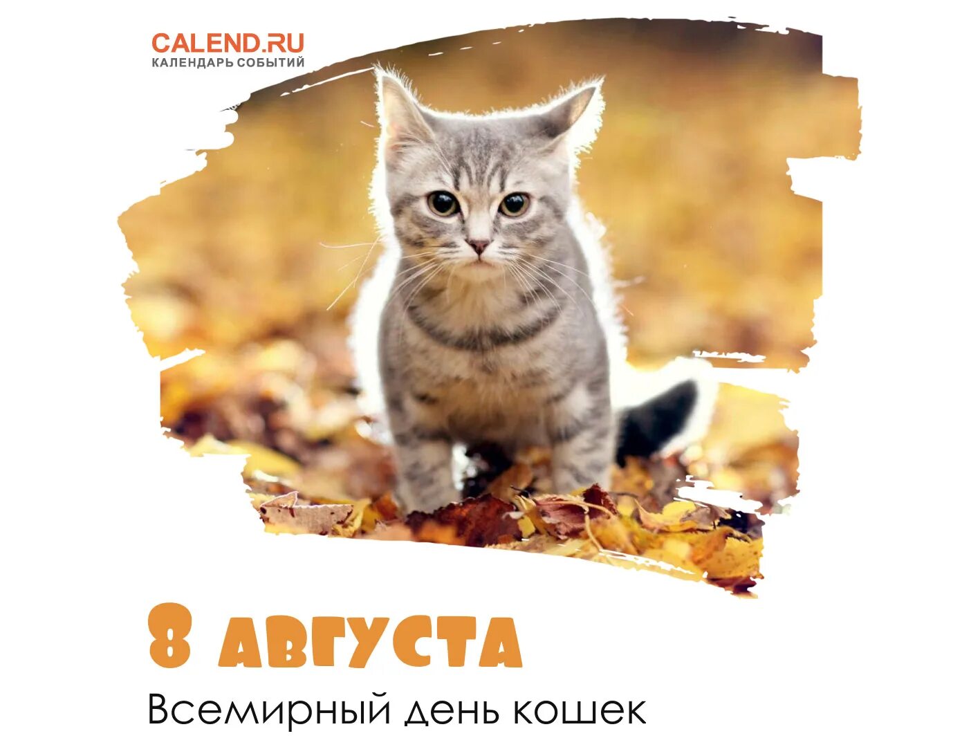 Всемирный день кошек в марте. День кошек. День кошек в России. Всемирный день кошек в России.