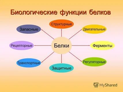 Химическая роль белков