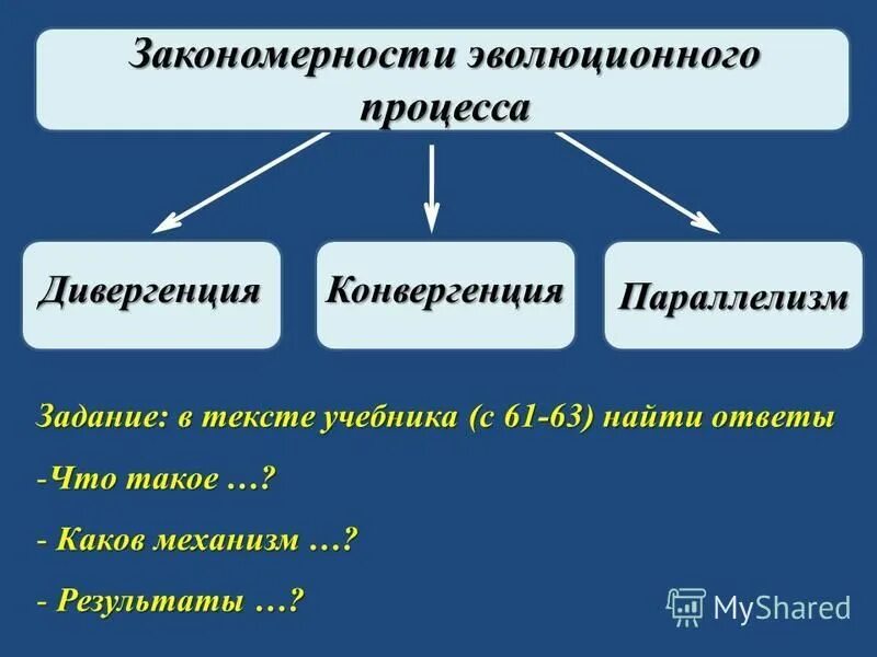 Дивергенция расхождение признаков. Дивергенция процесс расхождения признаков. Процесс дивергенции. Процесс дивергенции. Дивергенция.