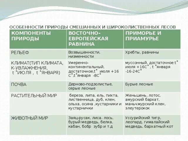 Описание широколиственных лесов по плану. Климат Восточно европейской равнины таблица. Таблица смешанных и широколиственных. Таблица смешанные леса Восточно европейской равнины. Природные зоны Восточно европейской равнины таблица.