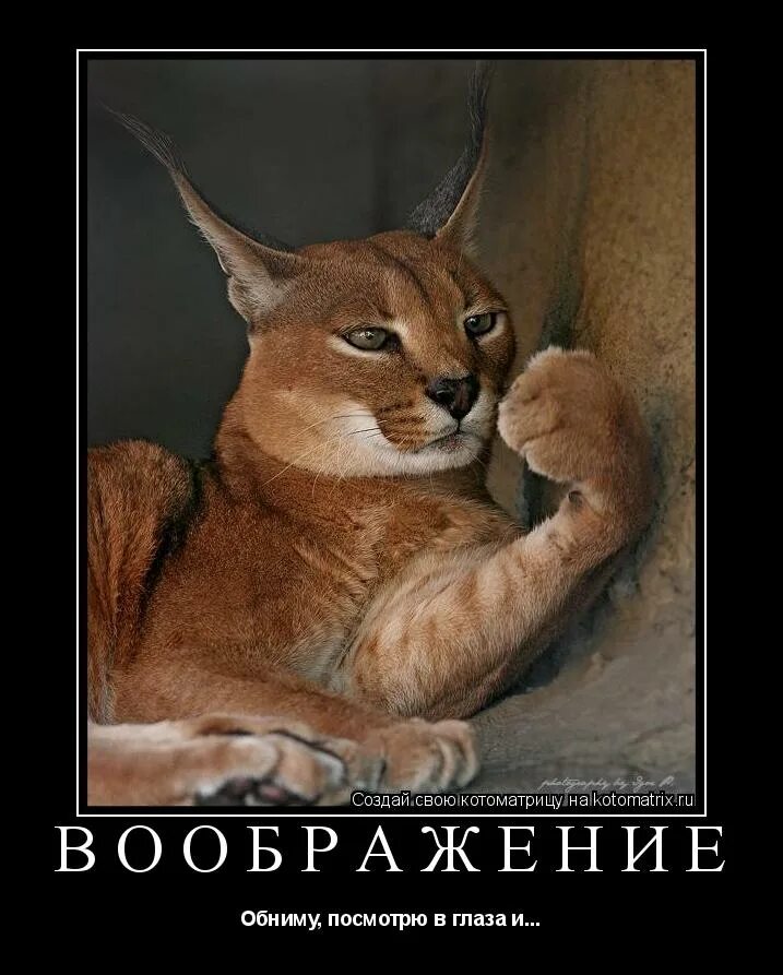 А царь то ненастоящий. Смешные картинки. Говорят дети юмор в картинках. Смешно говорится. Ну говори говори.