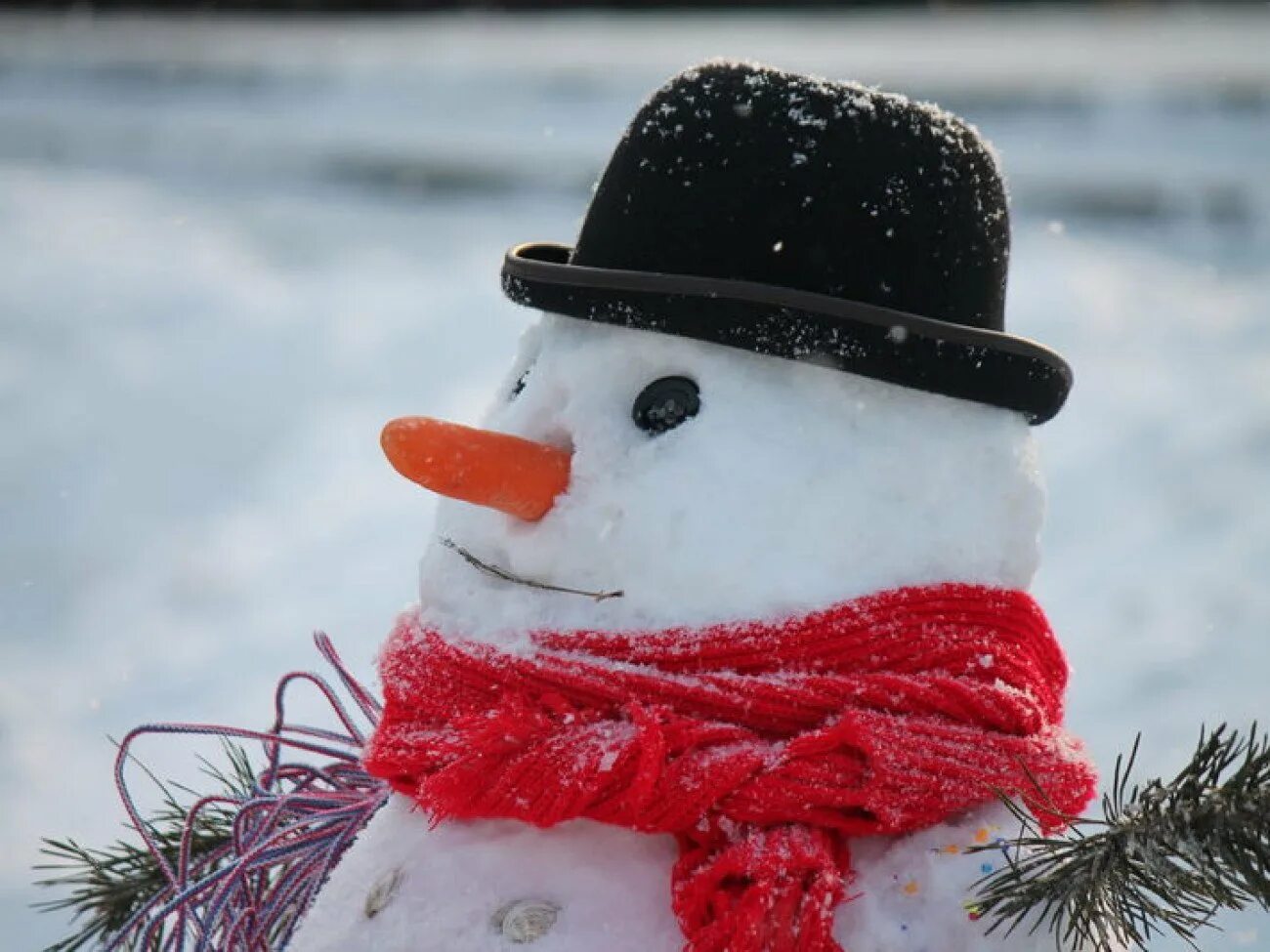 Come realizzare un pupazzo di neve con i bicchieri di plastica Christmas colouri